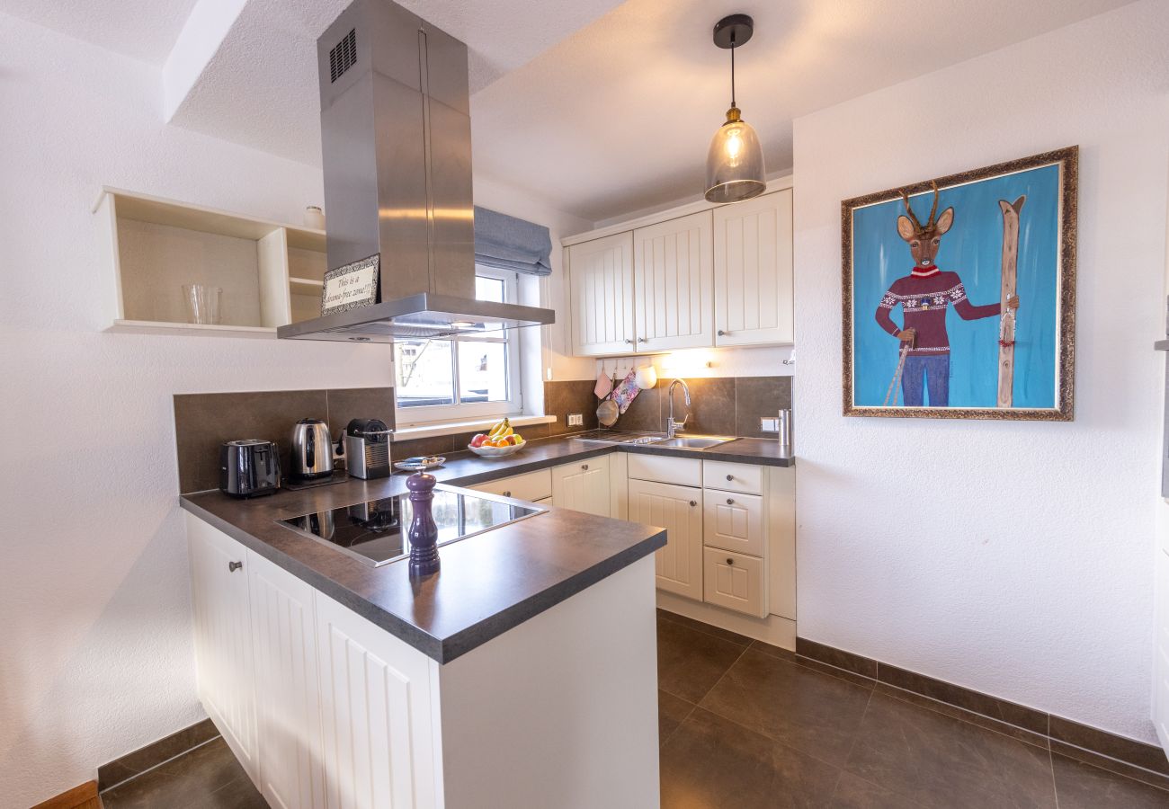 Apartment in Saalbach - Appartements Fürstauer - Top 11