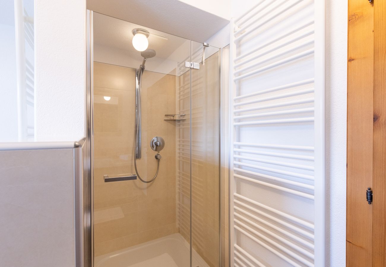 Apartment in Saalbach - Appartements Fürstauer - Top 11