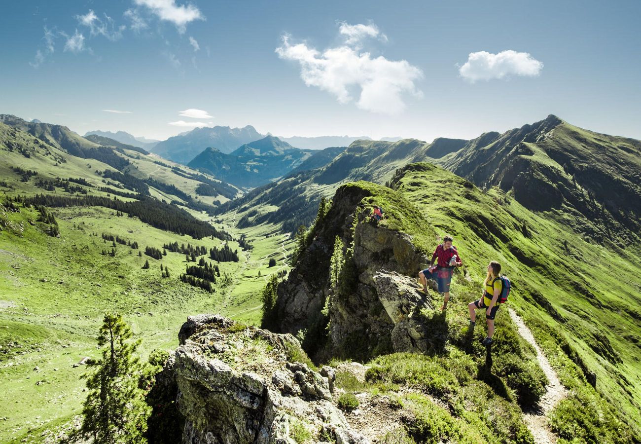 Apartment in Saalbach - Appartements Fürstauer - Top 5